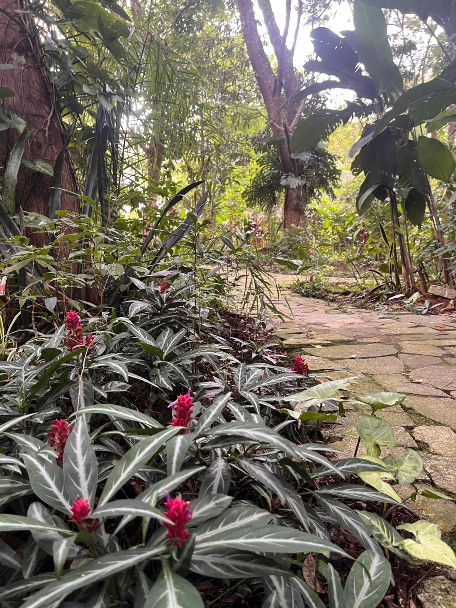 Hotel Curitiba Campo Comprido ภายนอก รูปภาพ