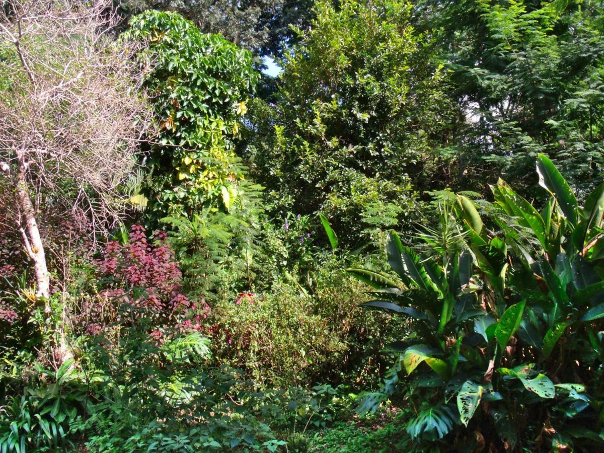 Hotel Curitiba Campo Comprido ภายนอก รูปภาพ