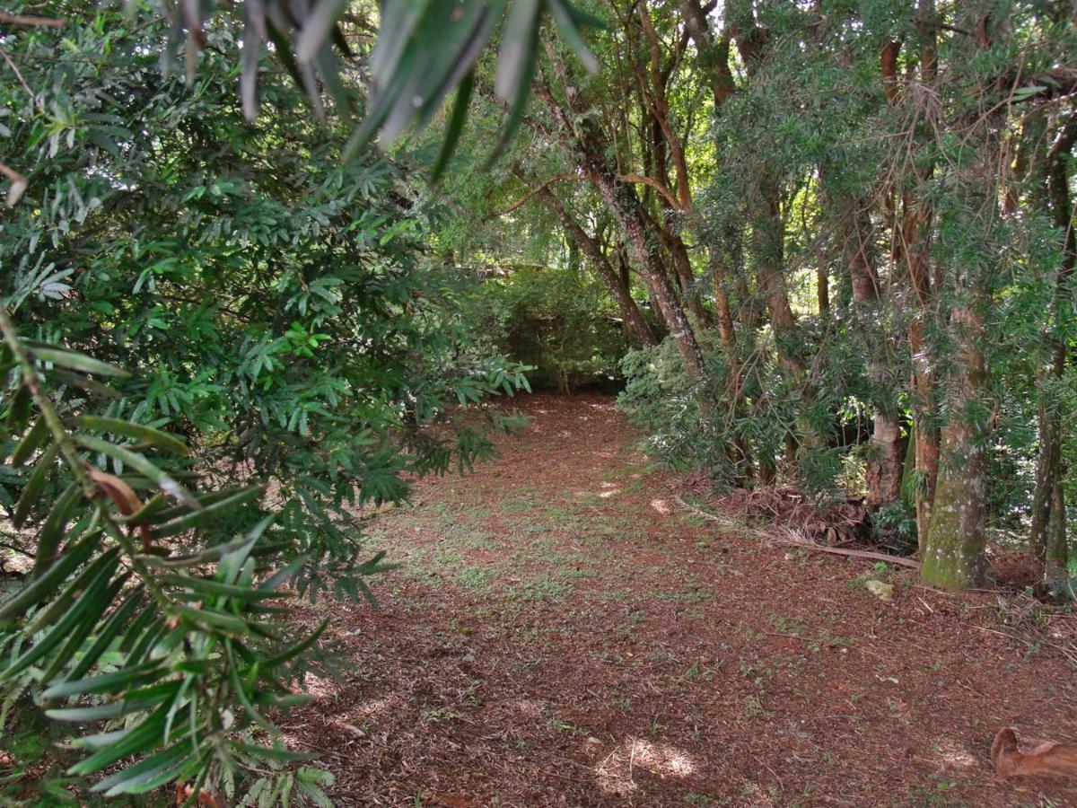 Hotel Curitiba Campo Comprido ภายนอก รูปภาพ