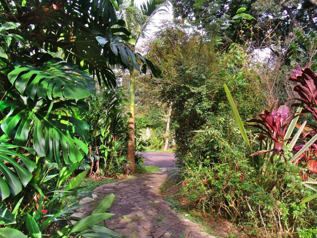 Hotel Curitiba Campo Comprido ภายนอก รูปภาพ